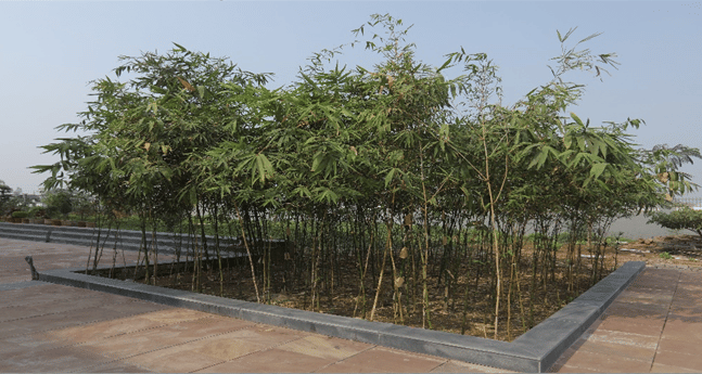 KK Modi University Bhilai Infrastructure photo 28